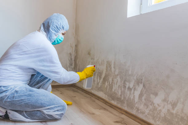 Commercial Mold Remediation assessment for commercial property in Morrisville