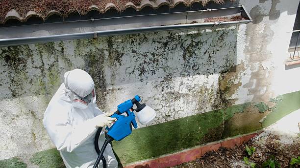 Mold Removal service in Morrisville